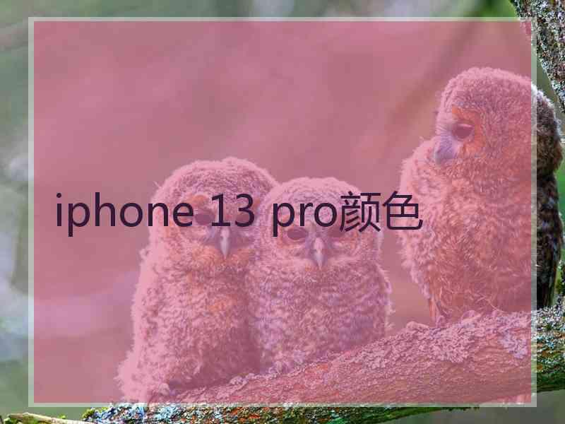 iphone 13 pro颜色