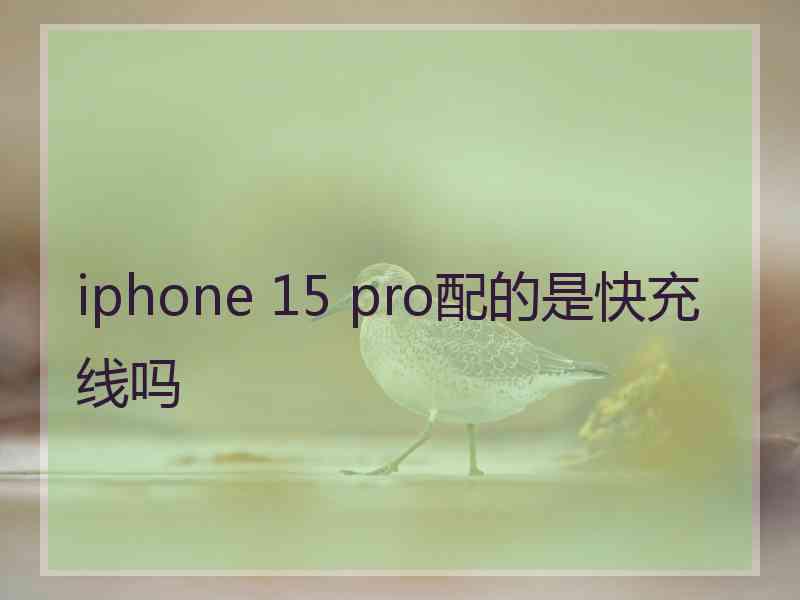 iphone 15 pro配的是快充线吗