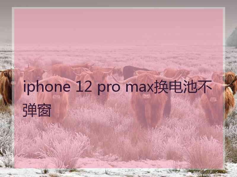 iphone 12 pro max换电池不弹窗