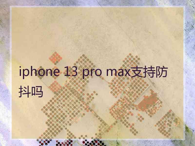 iphone 13 pro max支持防抖吗