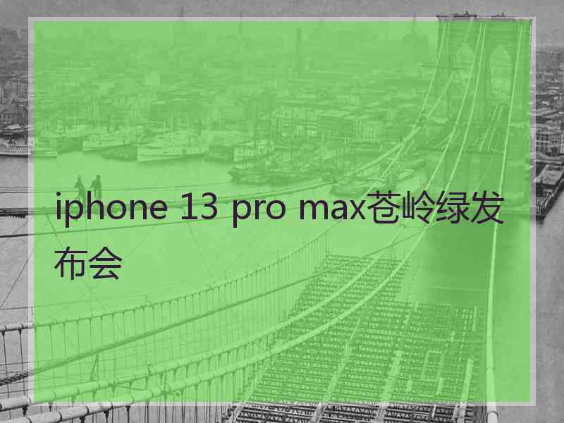 iphone 13 pro max苍岭绿发布会