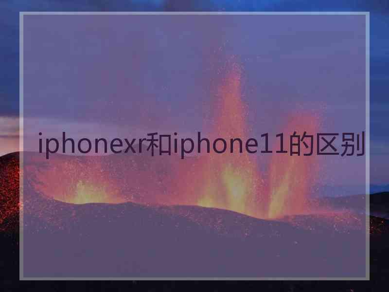 iphonexr和iphone11的区别