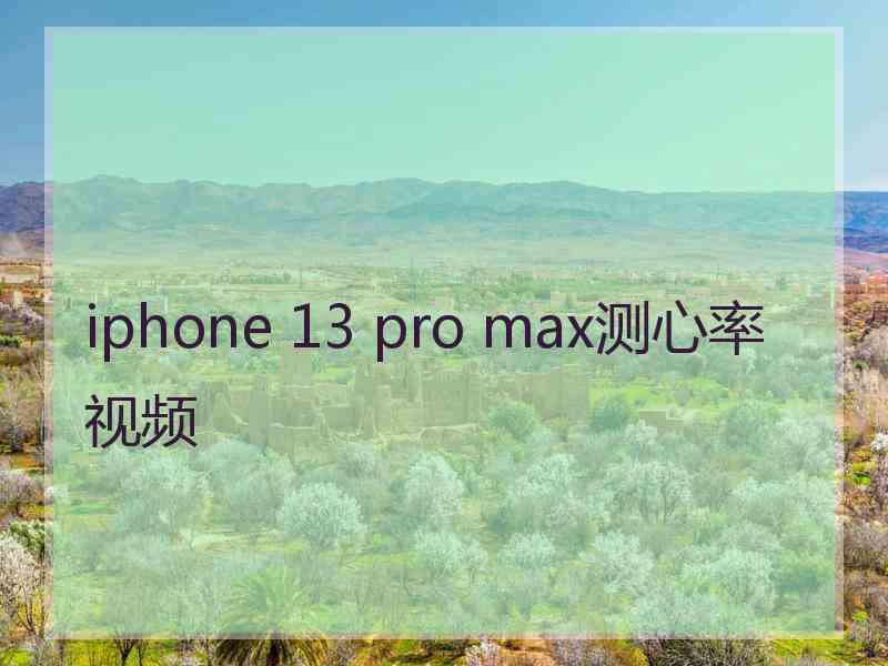 iphone 13 pro max测心率视频