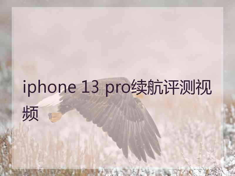 iphone 13 pro续航评测视频