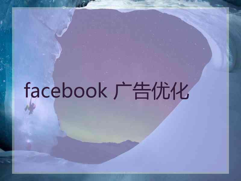 facebook 广告优化