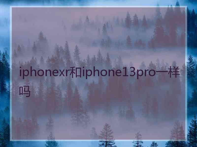 iphonexr和iphone13pro一样吗