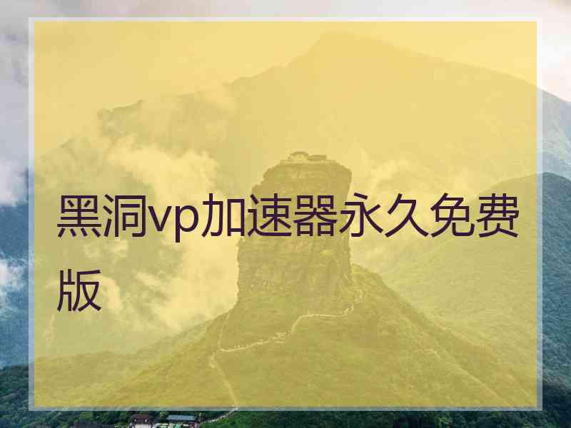 黑洞vp加速器永久免费版