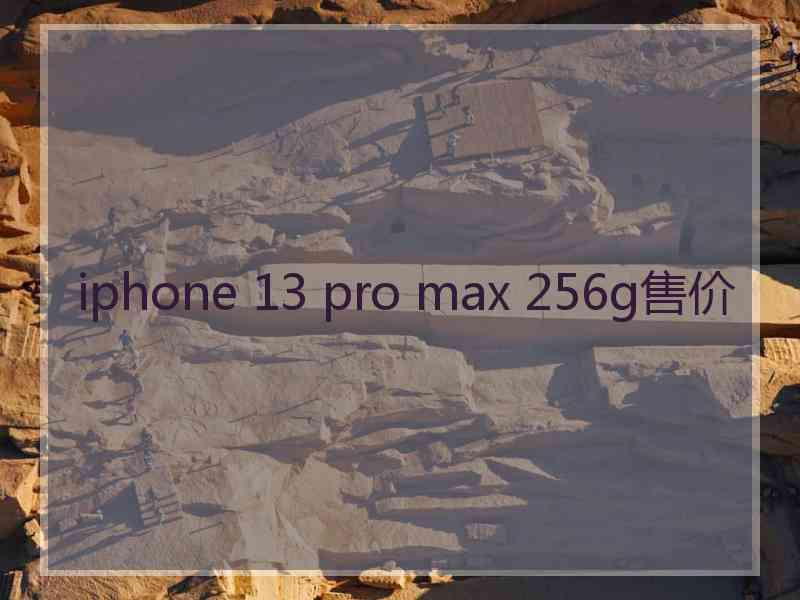 iphone 13 pro max 256g售价