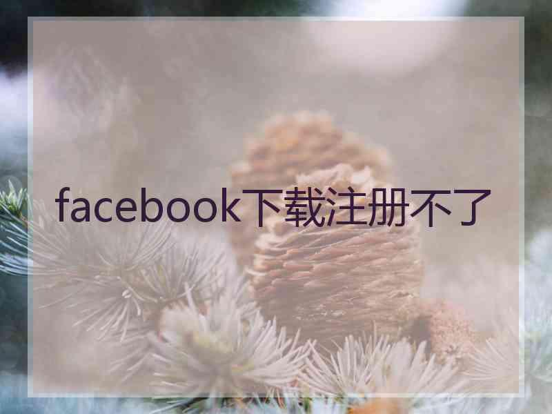 facebook下载注册不了