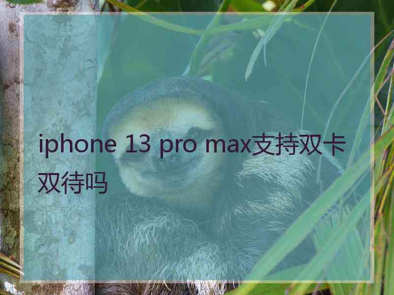 iphone 13 pro max支持双卡双待吗