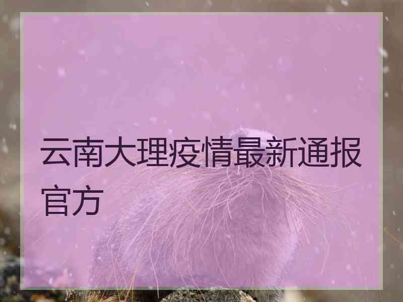 云南大理疫情最新通报官方