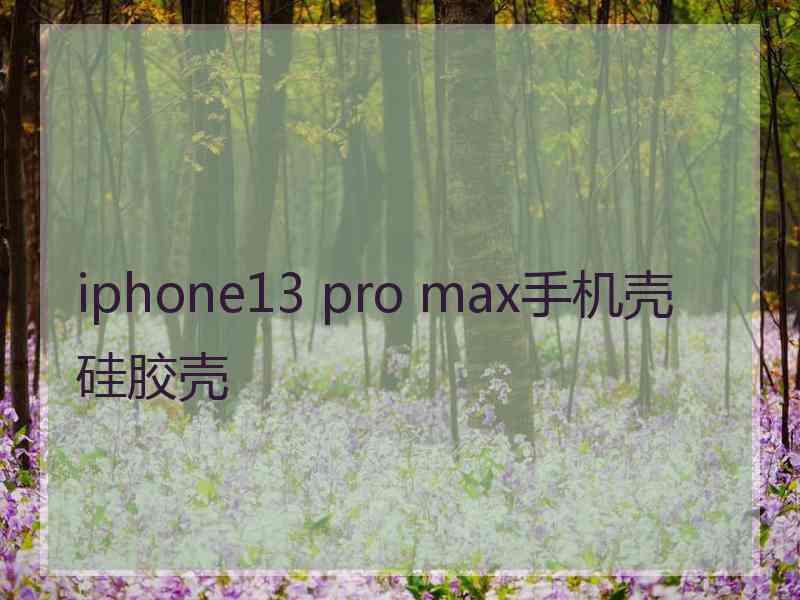 iphone13 pro max手机壳硅胶壳