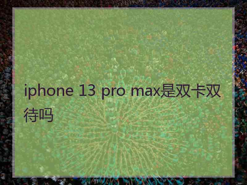 iphone 13 pro max是双卡双待吗