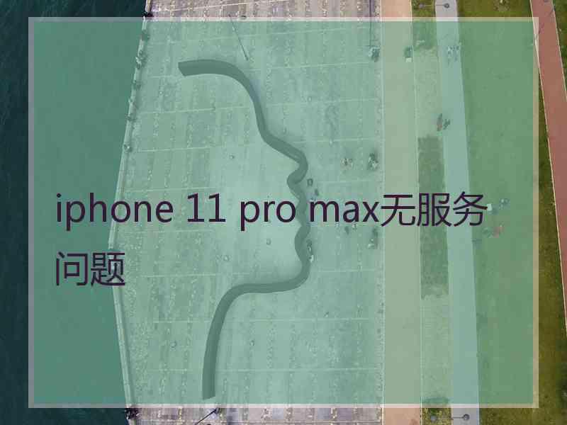 iphone 11 pro max无服务问题