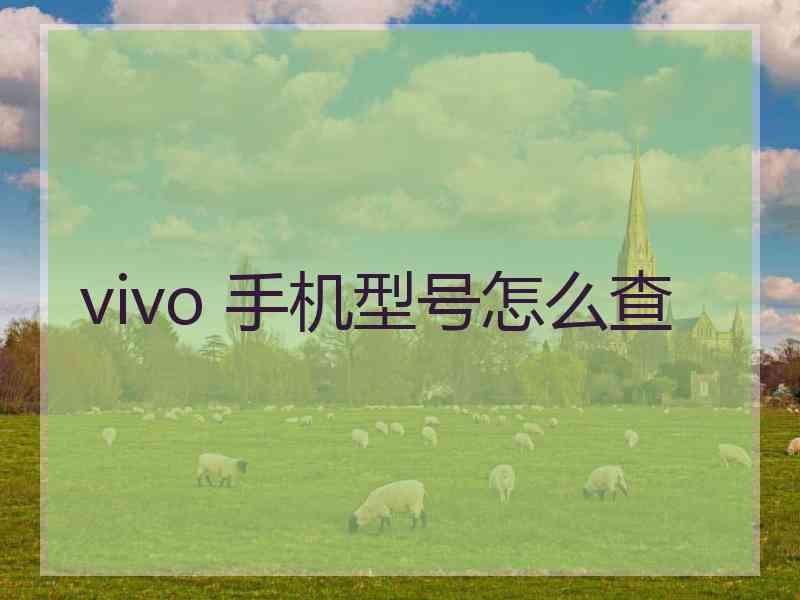 vivo 手机型号怎么查