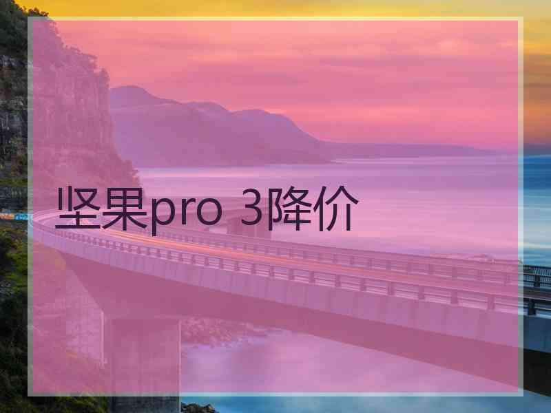 坚果pro 3降价