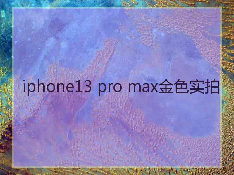 iphone13 pro max金色实拍