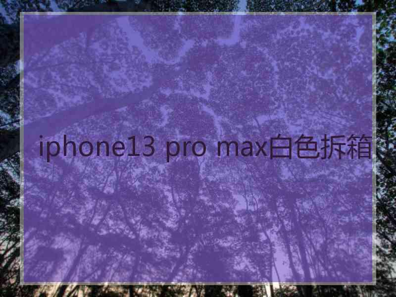 iphone13 pro max白色拆箱