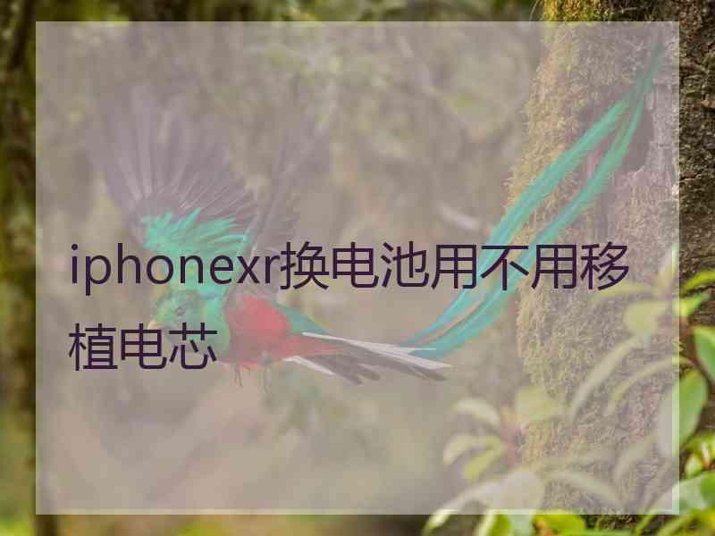 iphonexr换电池用不用移植电芯