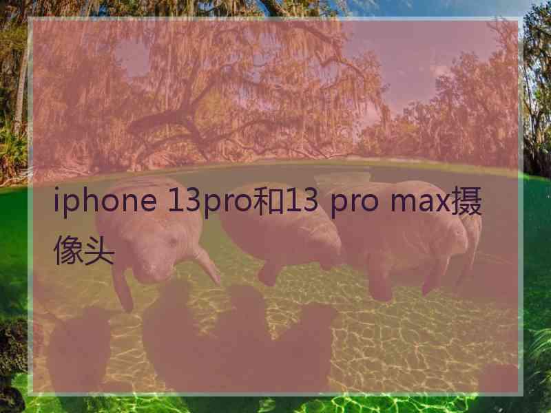 iphone 13pro和13 pro max摄像头