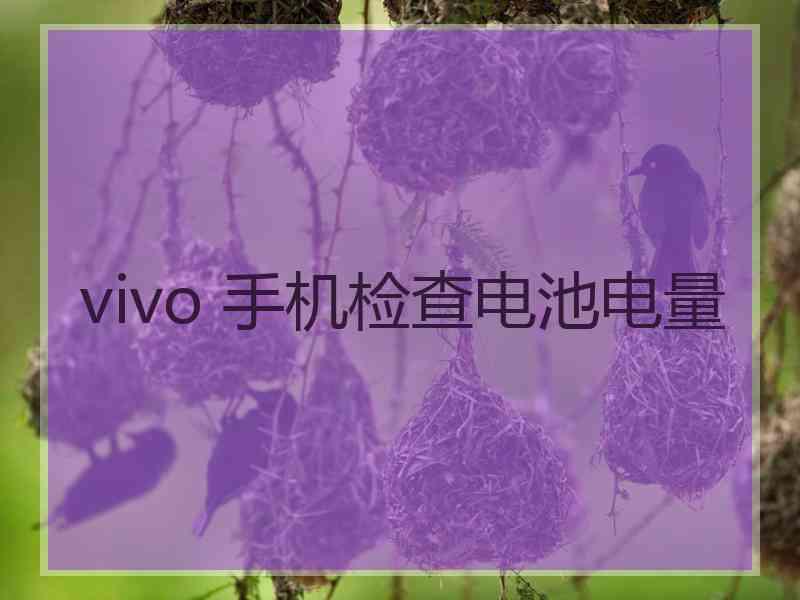 vivo 手机检查电池电量