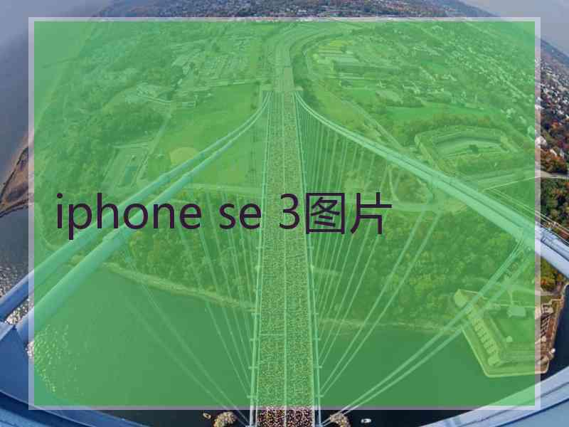 iphone se 3图片