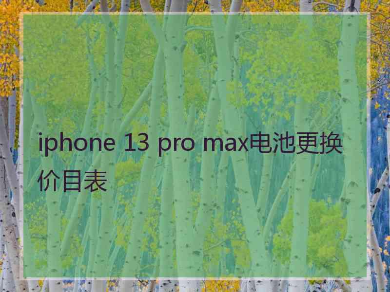 iphone 13 pro max电池更换价目表