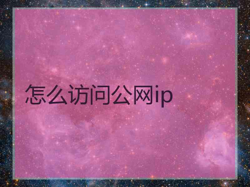 怎么访问公网ip