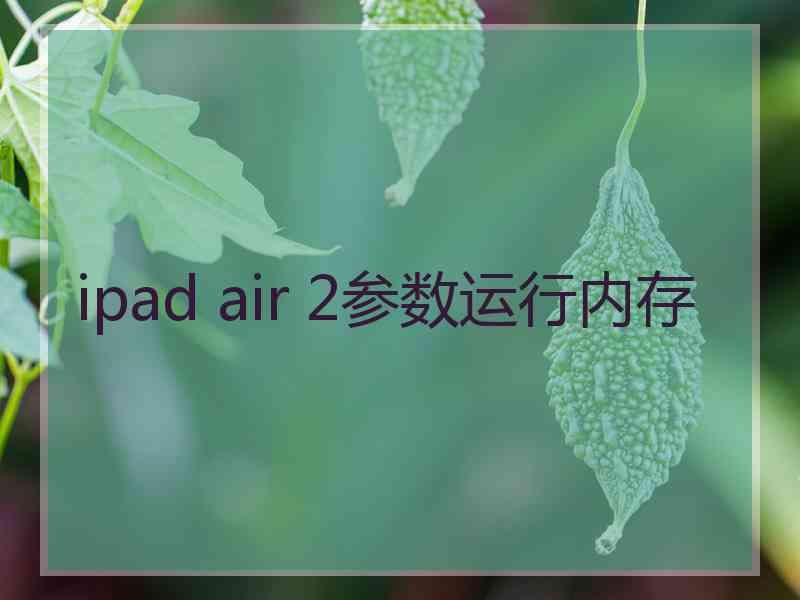 ipad air 2参数运行内存