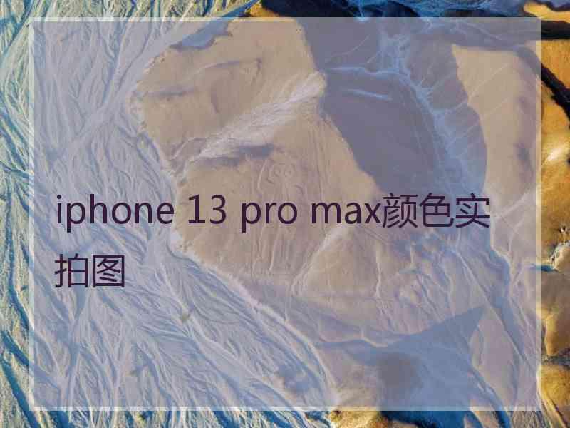 iphone 13 pro max颜色实拍图