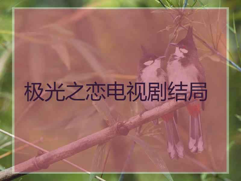 极光之恋电视剧结局