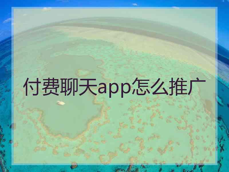 付费聊天app怎么推广