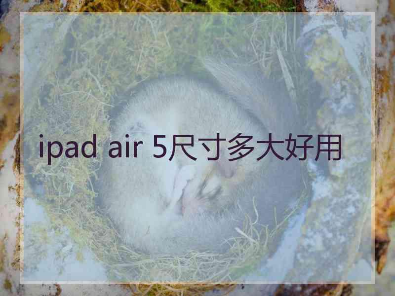 ipad air 5尺寸多大好用