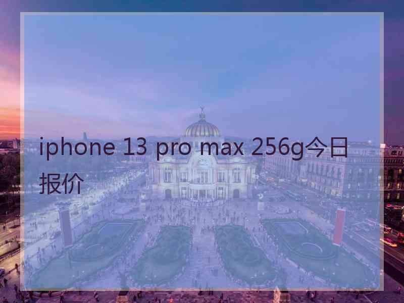 iphone 13 pro max 256g今日报价