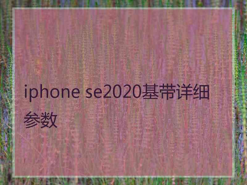 iphone se2020基带详细参数