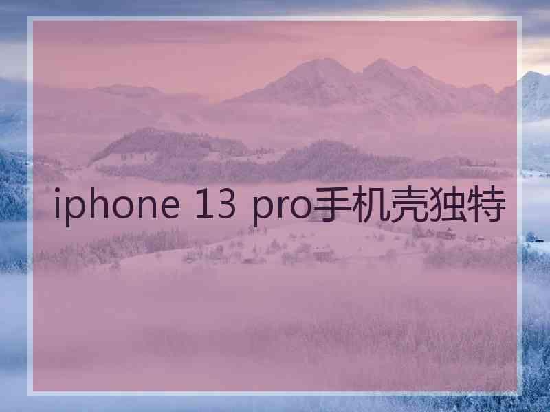 iphone 13 pro手机壳独特