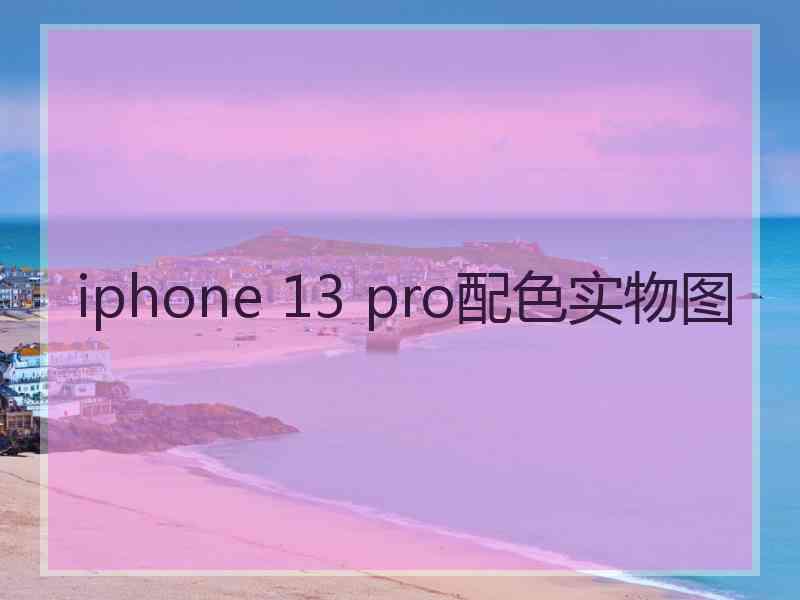 iphone 13 pro配色实物图