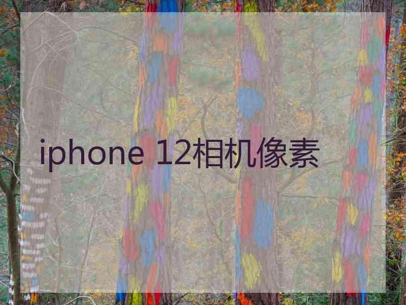 iphone 12相机像素