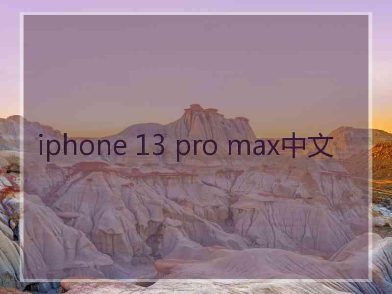 iphone 13 pro max中文