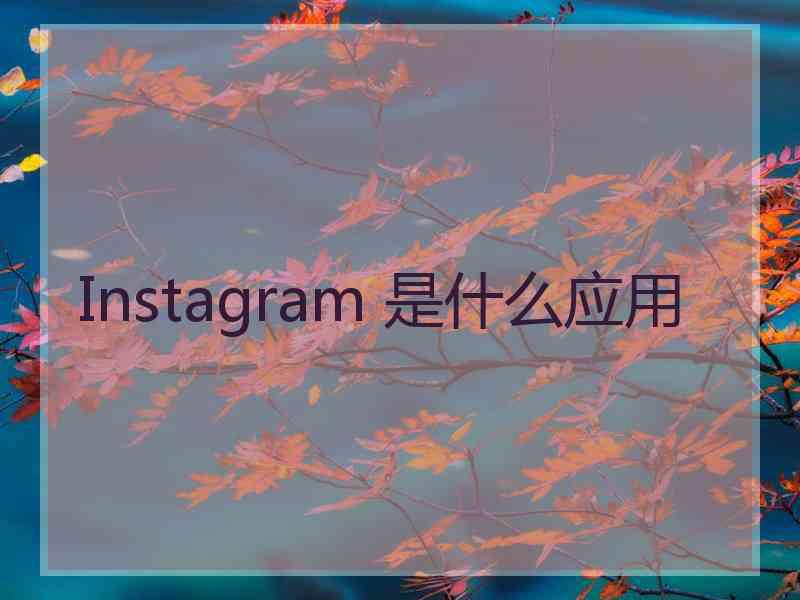 Instagram 是什么应用