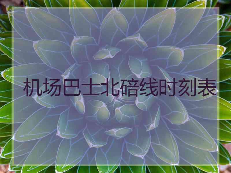 机场巴士北碚线时刻表