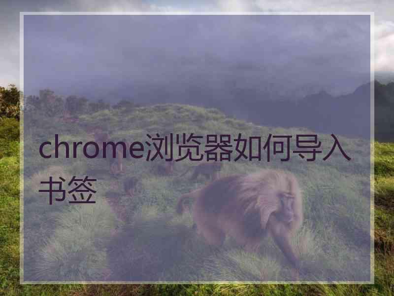 chrome浏览器如何导入书签