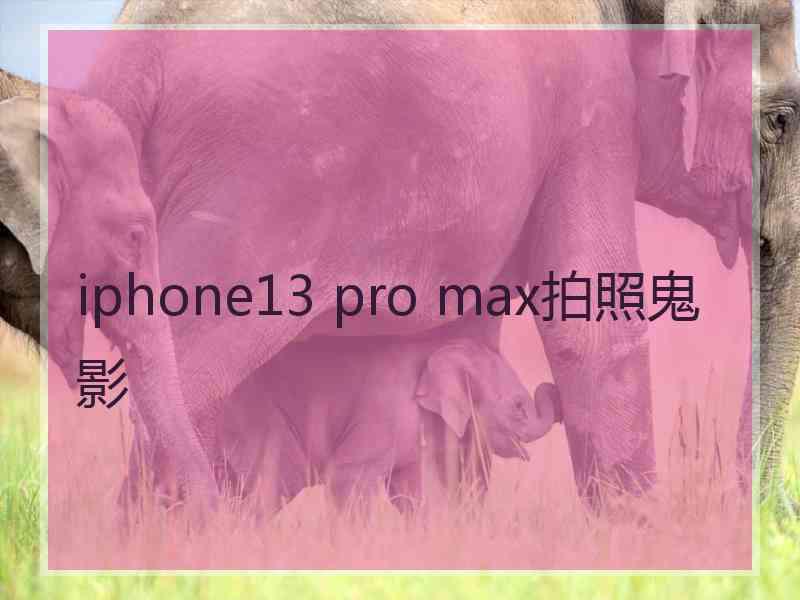 iphone13 pro max拍照鬼影