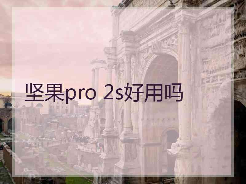 坚果pro 2s好用吗