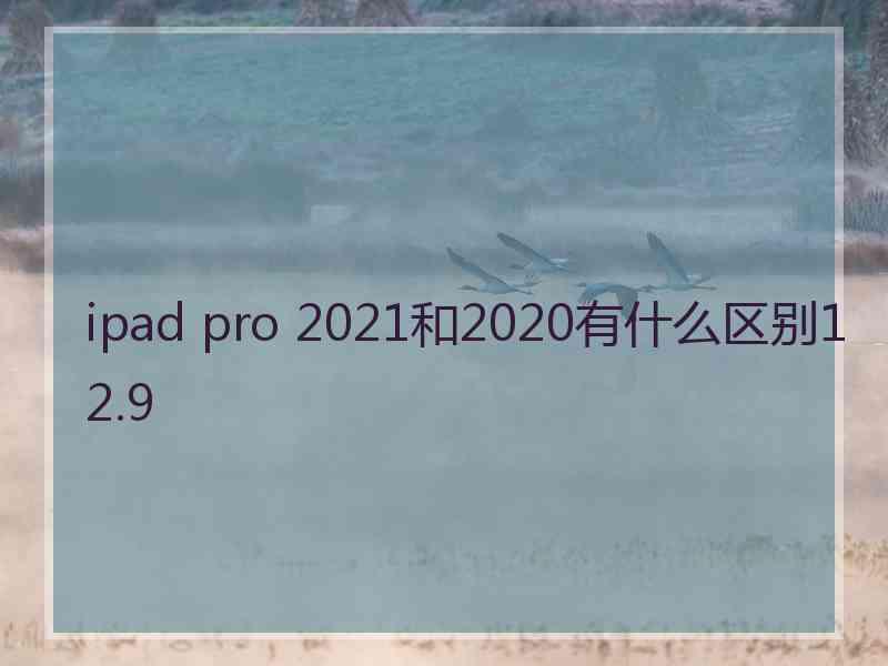 ipad pro 2021和2020有什么区别12.9