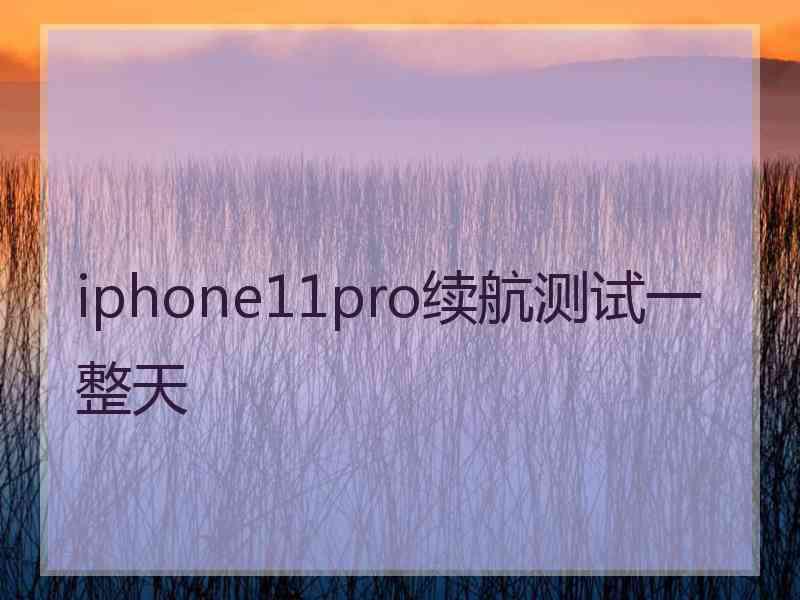 iphone11pro续航测试一整天