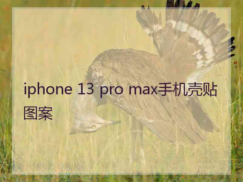 iphone 13 pro max手机壳贴图案