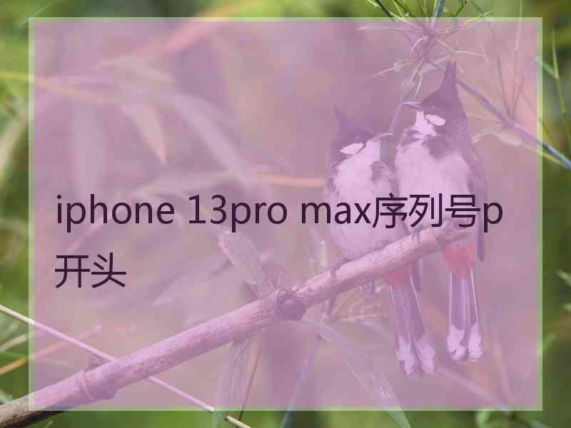 iphone 13pro max序列号p开头