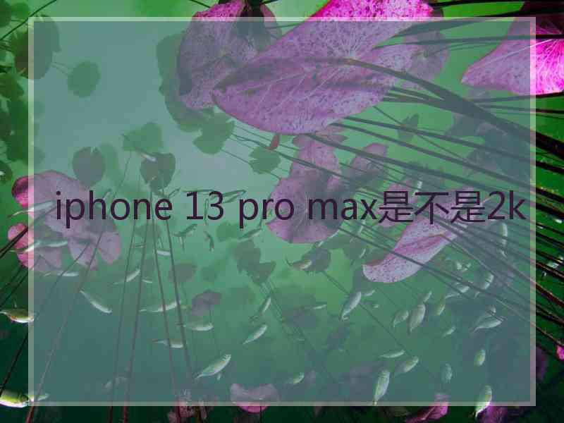 iphone 13 pro max是不是2k