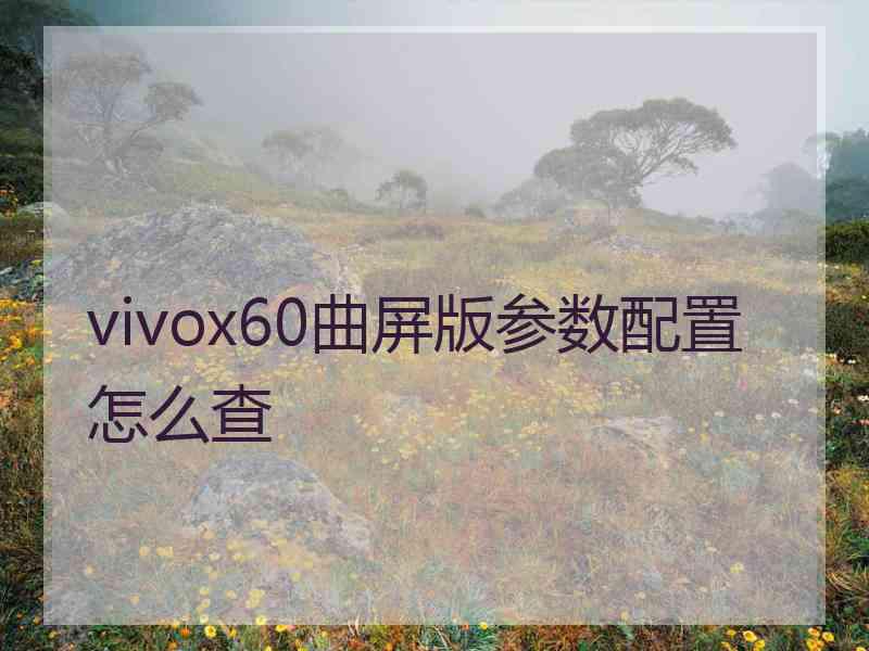 vivox60曲屏版参数配置怎么查